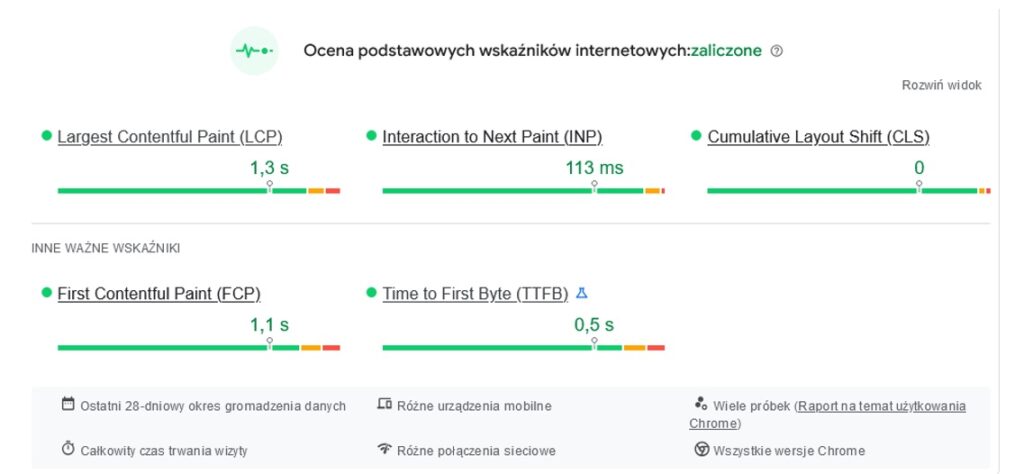 dane rzeczywiste pagespeed insights